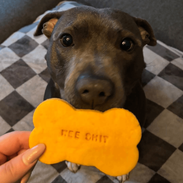 Custom Cookie 