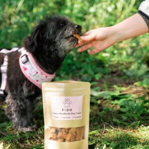 FIDO Carrot Crunchy Dog Biscuits