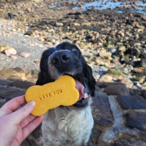 Grain Free Dog Cookie